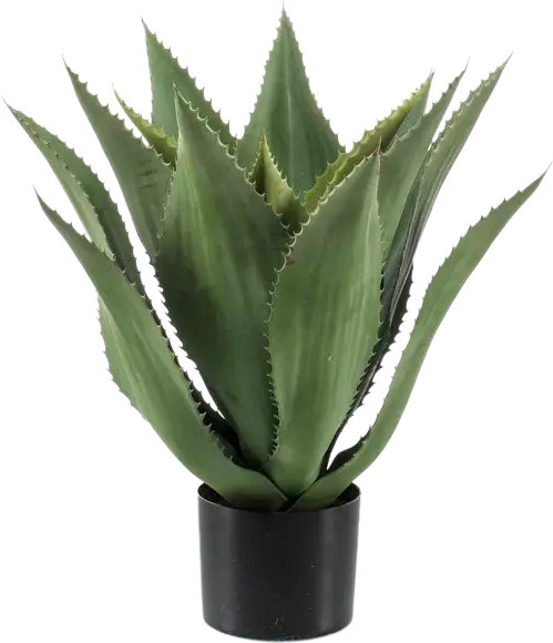 Künstliche Agave Aki von Aplanta im Topf, Höhe: 55 cm - Bild 1