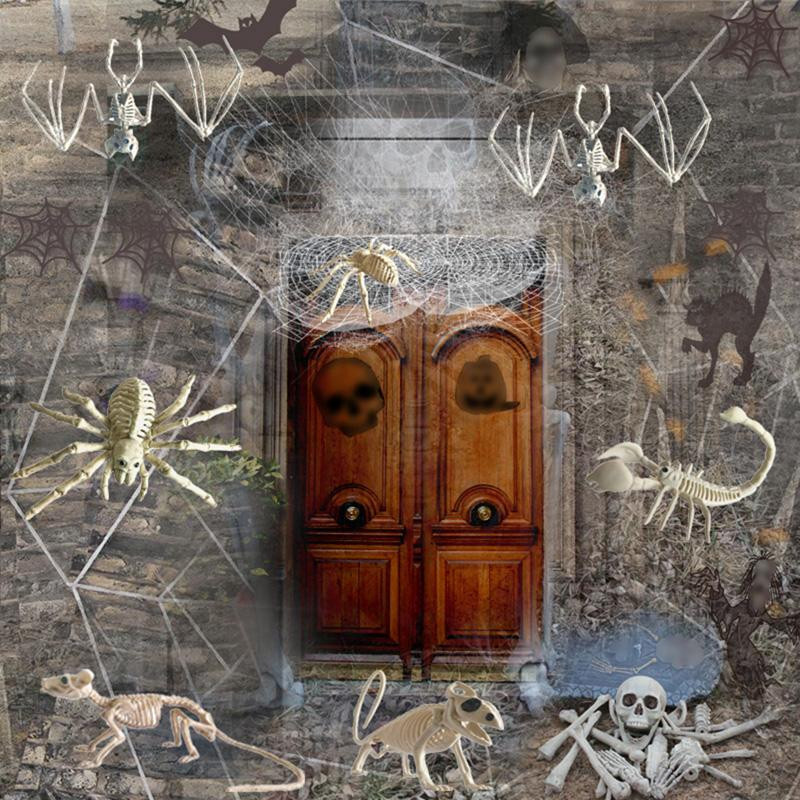 Houspace Halloween Horror Deko Tierskelette aus Kunststoff in Weiß für deine Party Dekoration als Ratte Spinne Fledermaus und Vogelspinne - Bild 3
