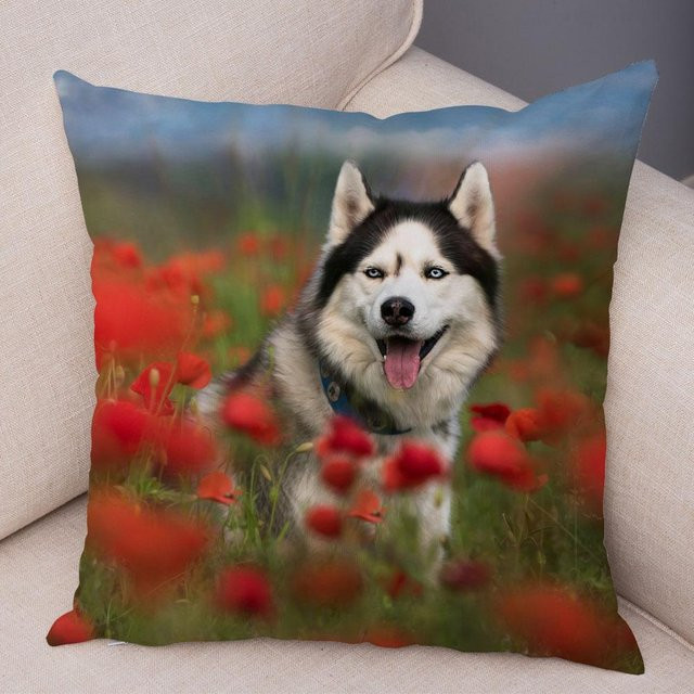 Dekorativer Kissenbezug mit Sibirischem Husky Motiv von JMG Clothing, Mehrfarbig, B/T: 45 x 45 cm - Bild 1