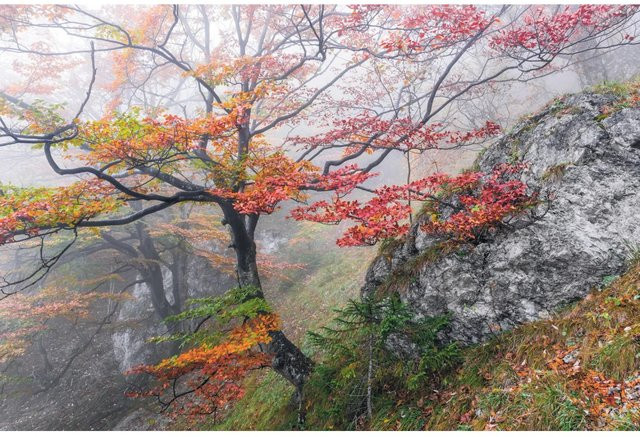 Komar Fototapete Vlies Euphoria Multicolor B: 300 cm, H: 200 cm - Bild 1