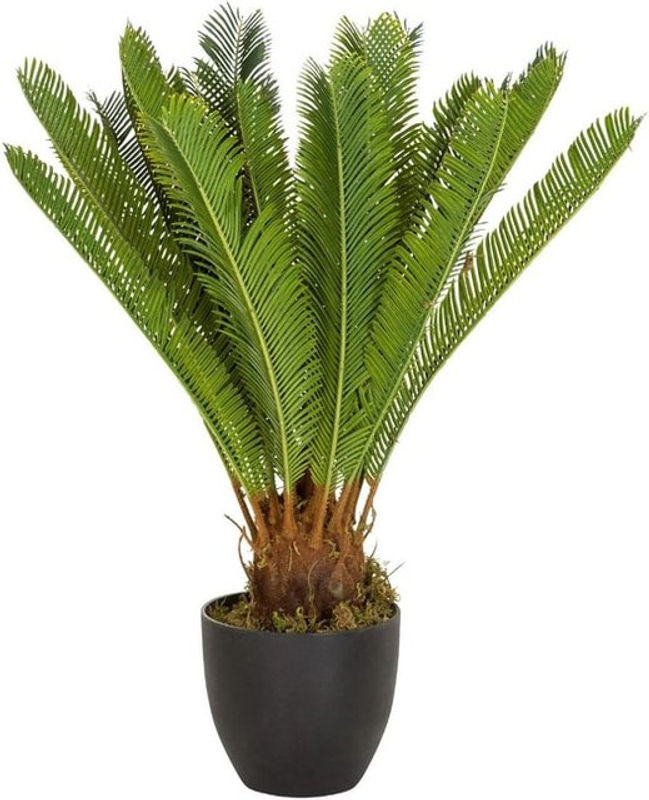 hjh OFFICE Kunstpalme Cycas als grüne Kunstpflanze aus Kunststoff und Textil - Bild 2