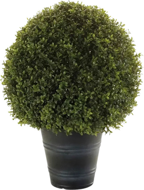 Künstlicher Buchsbaum Lynn von Aplanta, Höhe: 68 cm - Bild 1