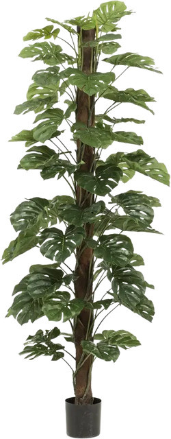 Künstliche Monstera am Stamm Toni von Aplanta, Höhe: 120 cm - Bild 1