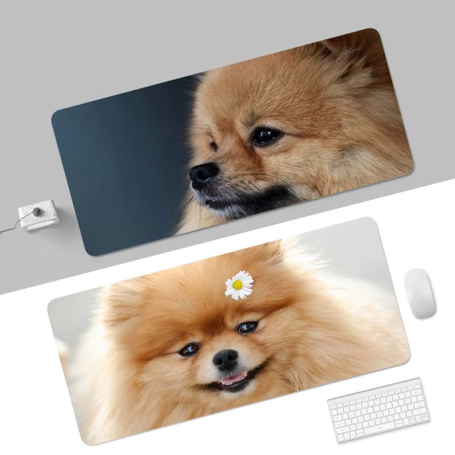 Großes XXL Gaming Mousepad mit süßem Pomeranian Hund Motiv für Gamer und Studenten, Mehrfarbig - Bild 2