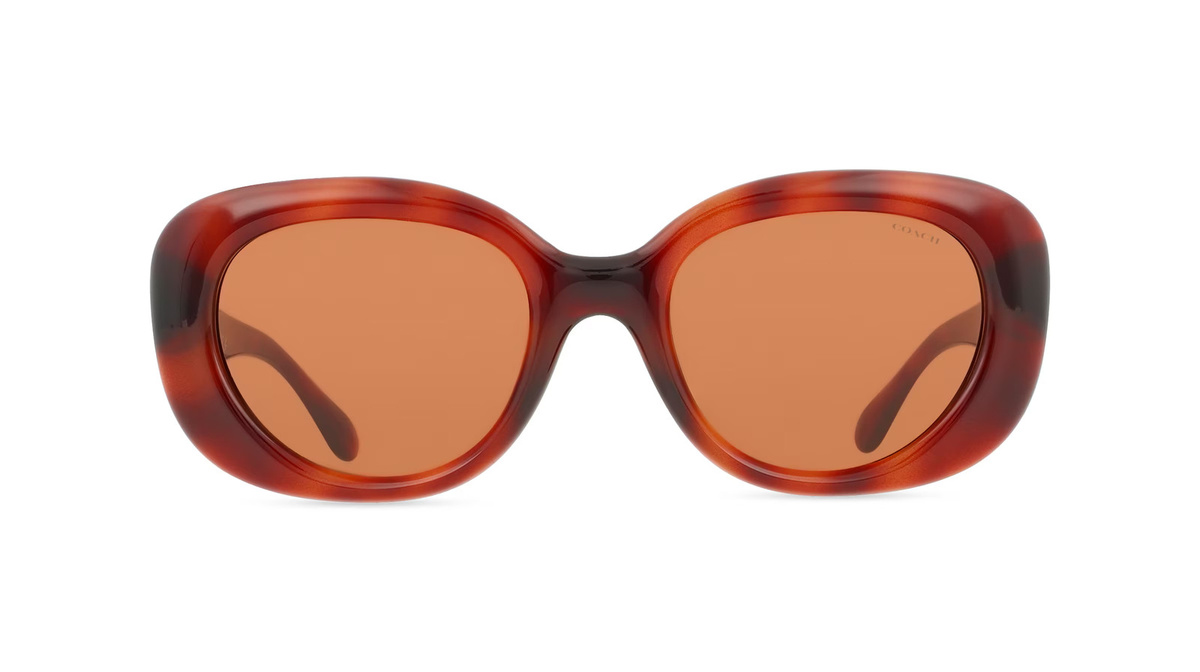 Coach HC8391U Sonnenbrille, Vollrand, Oval, Kunststoff, braun, Damen - Bild 1