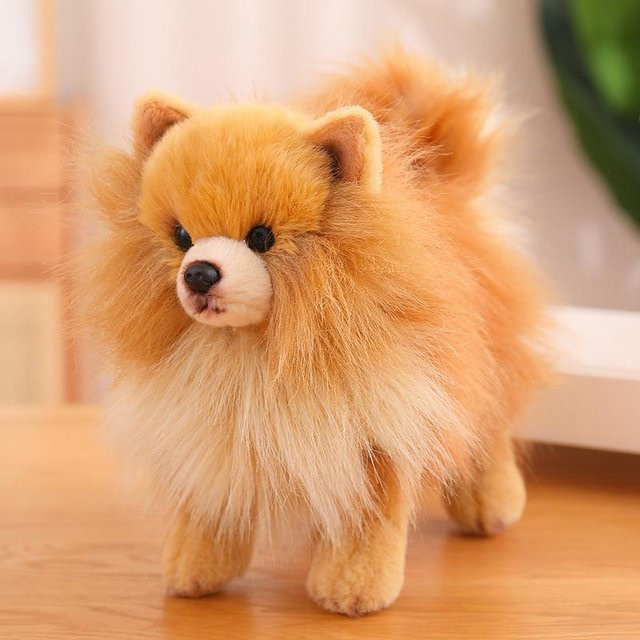 Kidsly Plüsch-Pomeranian-Hund, Stofftier, braun, ab 3 Jahren - Bild 1