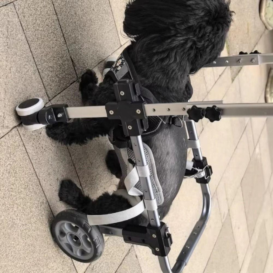 Naituo Verstellbarer Hunderollstuhl aus Aluminium in Schwarz zur Unterstützung der Hinterbeine mit vier Rädern - Bild 7
