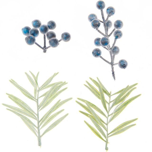 Rico Design Deko-Set Schlehenbeeren und Zweige in Blau und Grün für die Weihnachtszeit und den Winter - Bild 1