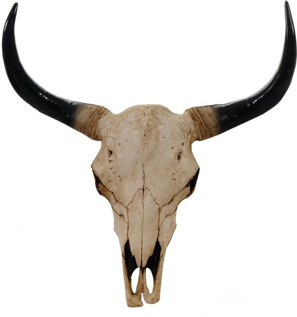 MCW Deko Schädel Stier Longhorn Kopf aus Polyresin in Beige, Höhe: 45 cm - Bild 2