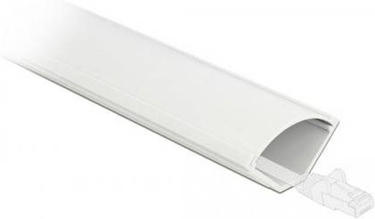Delock 20714 Eckkanal Inneneck in Weiß, Länge: 1 m, Breite: 43 mm - Bild 1