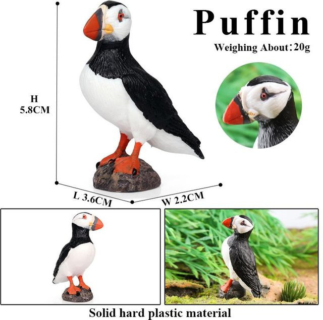 Oenux Vogel Waldtier Papagei, Modell, ab 3 Jahre - Bild 1