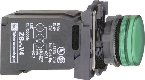 Schneider Electric XB5AV43 Leuchtmelder in Grün aus Kunststoff - Bild 1