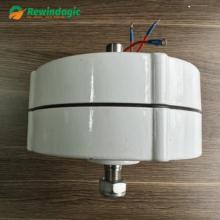 Rewindagic Permanentmagnet-Generator 1000W für Windturbinen und Wasserturbinen, 12V 24V 48V PMG Hydro-Alternator, Weiß - Bild 3