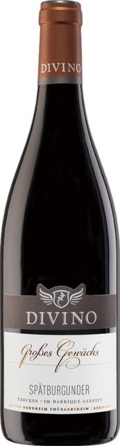 DIVINO eG Pinot Noir Rotwein, 2022, Franken, trocken, 0,75 l - Bild 1