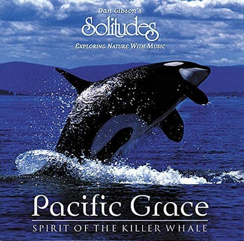 Pacific Grace Japan Dance & Electronica von Gibson & Brandmeier, CD - Bild 1