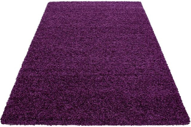 Ayyildiz Hochflorteppich Life Modern Lila B/L: 80 x 150 cm - Bild 1
