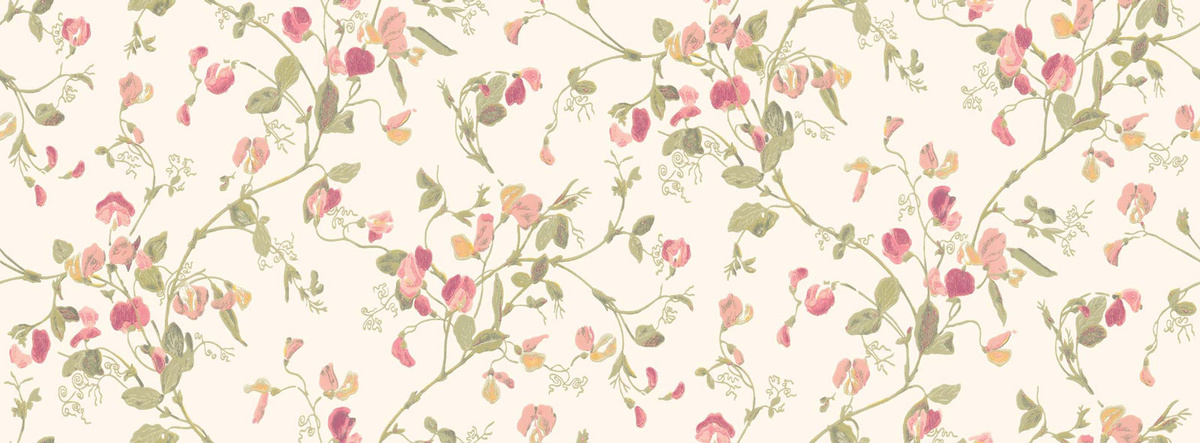 Cole & Son Tapete Sweet Pea in Pink und Gelb mit floralem Botanical-Design - Bild 1