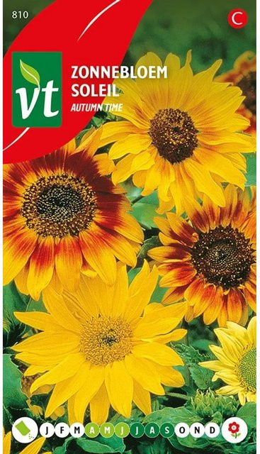 Arborix Sonnenblume Herbstzeit Saatgut Großblütig 1 g - Bild 1