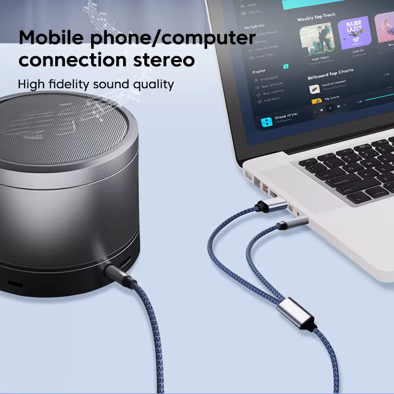 Olaf 2-in-1 Aux-Audiokabel USB-C und Lightning auf 3,5-mm-Klinke Konverter für iOS und Android Geräte - Bild 3
