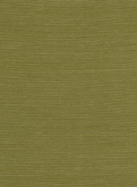 Arte International Tapete Agave in Olive mit botanischem Sisal-Design - Bild 1