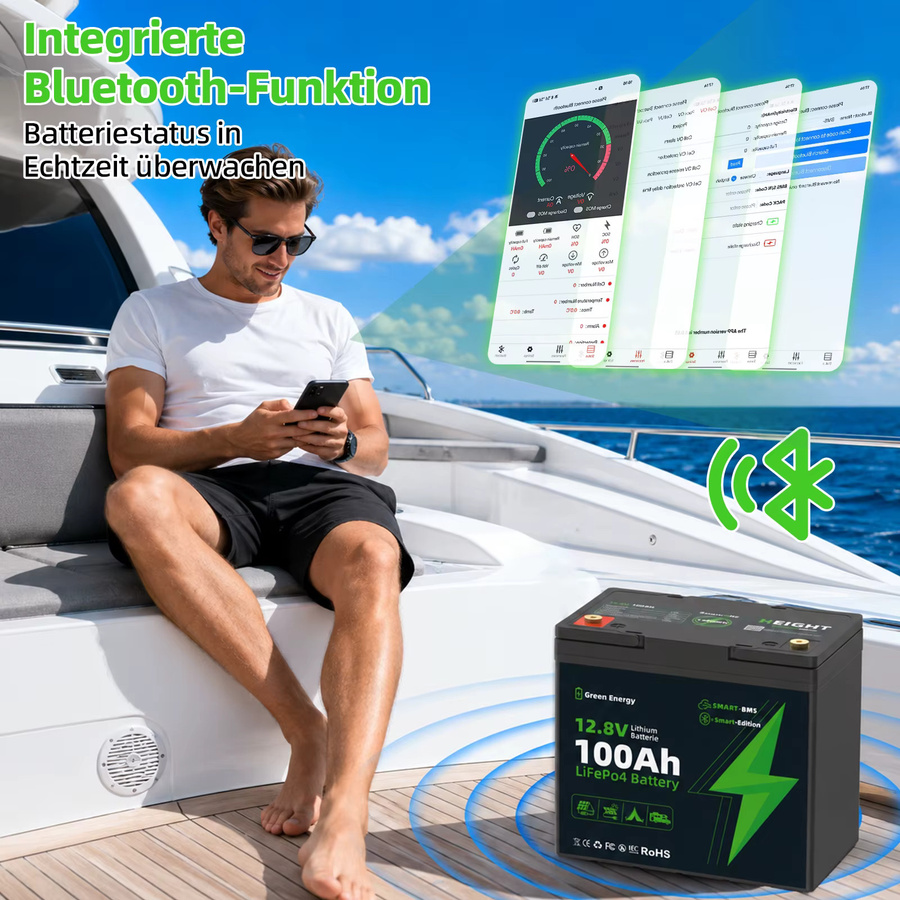 Blossom LiFePO4 Batterie 12,8V 100Ah mit Smart BMS, 1280Wh Deep-Cycle-Lithiumbatterie, IP67 wasserdicht - Bild 2