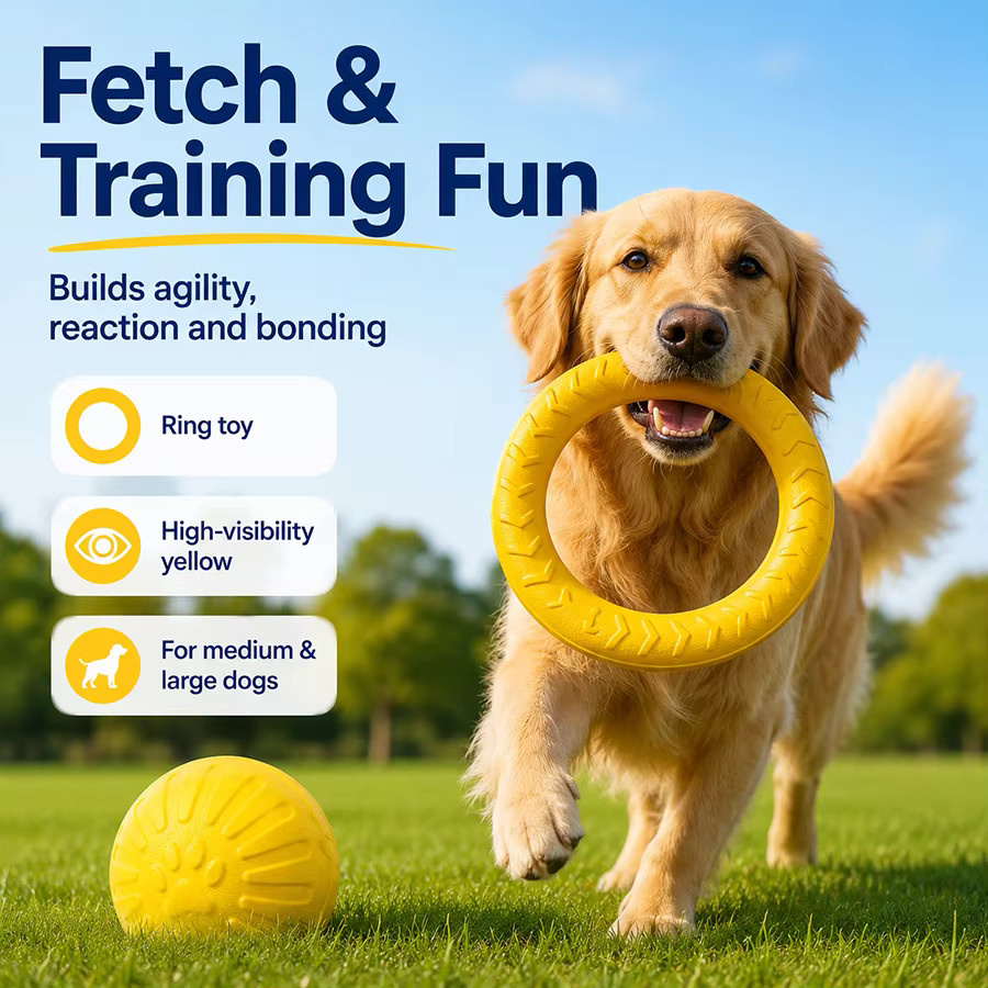 pawstrip Hundespielzeug-Set, Ring, Frisbee, Seilball, Zerrgurt - Bild 2