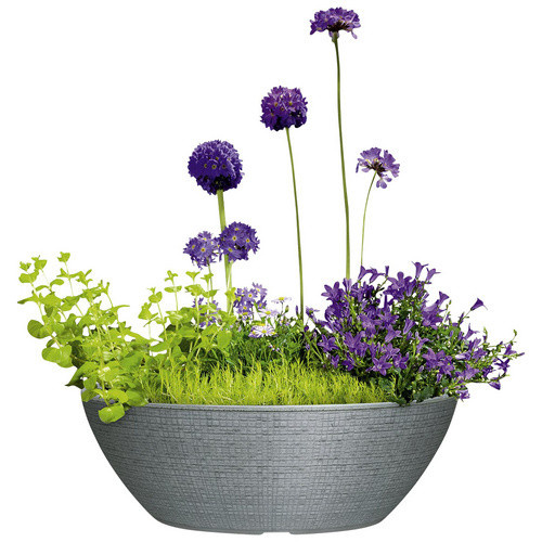 Scheurich Jardiniere Barceo Pflanzgefäß Grau B: 58,6 cm, H: 19,5 cm - Bild 3