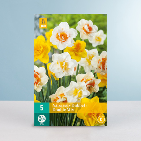 BLUME2000 Gefüllte Narzissen Double Mix Blumenzwiebeln, 5 Stück