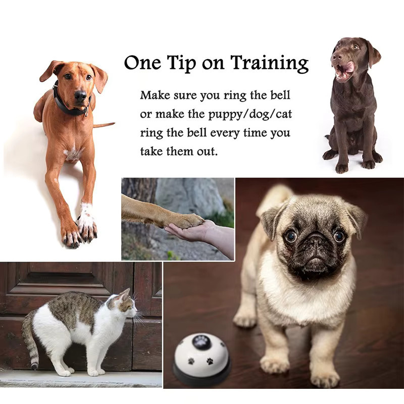 Otmagelu Trainingsglocke für Hunde und Katzen zur Verhaltensschulung und Fütterungserinnerung - Bild 5