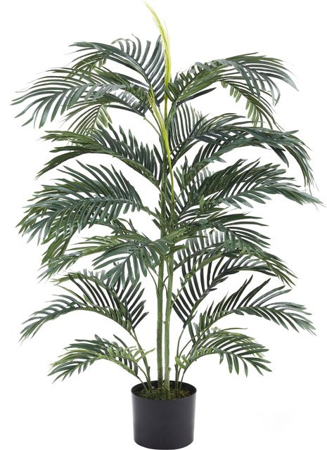 Künstliche Palme Maleko von Aplanta, Höhe: 120 cm - Bild 1
