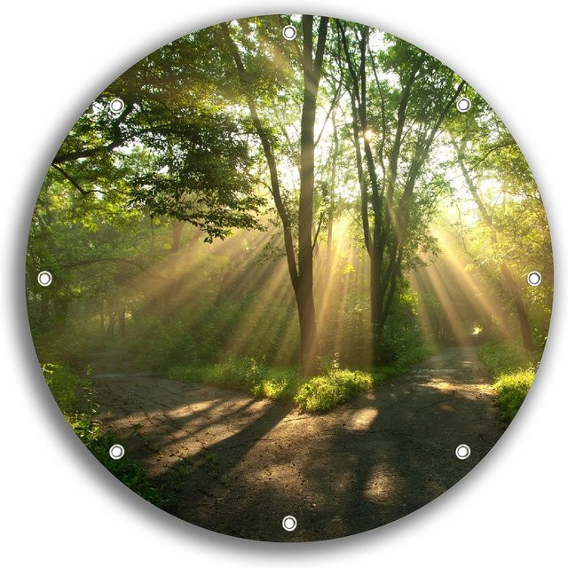 Wallario Gartenposter Weggabelung im Sonnenschein, Mehrfarbig, Breite: 60 cm, Höhe: 90 cm - Bild 1