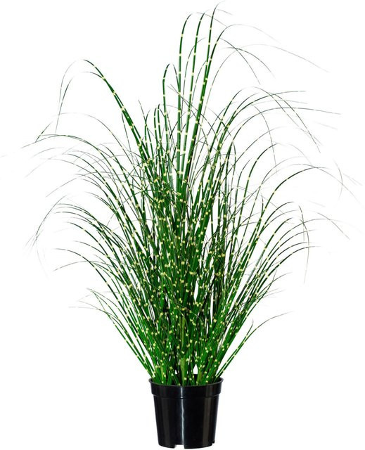 Gasper Zebragras Kunstpflanze in Grün-Weiß, Höhe: 35 cm, Breite: 58 cm, Tiefe: 35 cm - Bild 1
