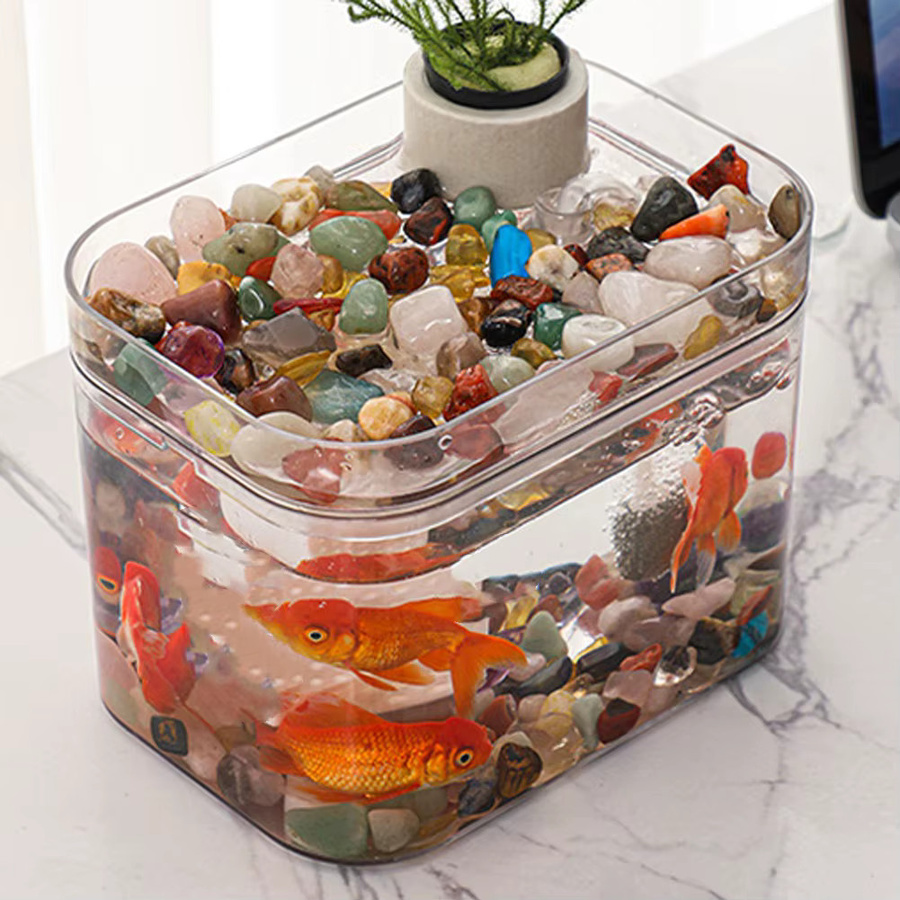 TWISTER.CK Aquarium Fischzuchtbox mit USB-Luftpumpe, transparent - Bild 3