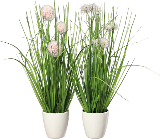 Künstliches Gras Bianca von Aplanta im Topf, Höhe: 36 cm - Bild 1