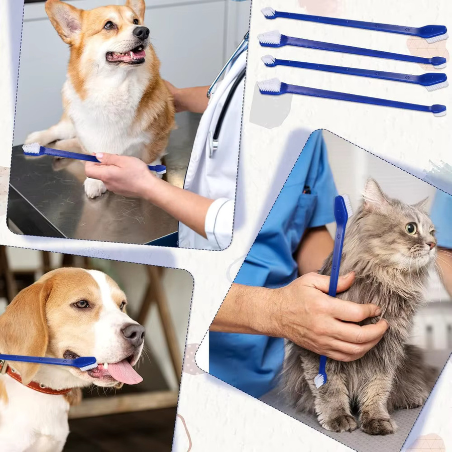 LGFU Dual Headed Zahnbürste für Hunde und Katzen, 10 Stück - Bild 3