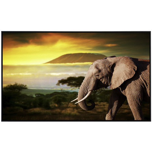papermoon Infrarotheizung EcoHeat Elefant von Kilimanjaro in Bunt mit Matt-Effekt, App-Steuerung und Überhitzungsschutz, B/H/T: 60 x 50 x 50 cm - Bild 2