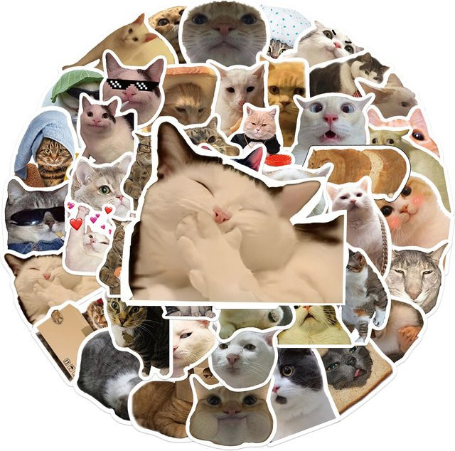 Charile Lustige Tier Katze Meme Graffiti Aufkleber, Wasserdichte DIY Dekoration für Skateboard, Gepäck und Telefon, Mehrfarbig - Bild 1