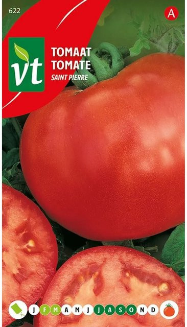 Arborix Tomate Saint Pierre Gemüsesamen für Garten, Gewächshaus oder Balkon, 0,5 g - Bild 1
