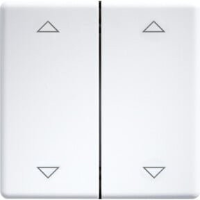Eltako Doppelwippe lasergraviert weiß glänzend DW-FT55-wg+2P für 55x55mm - Bild 1