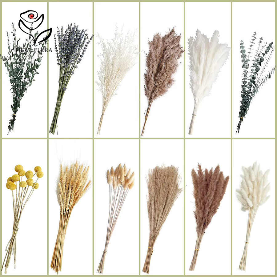 500 Stück Natürliche Getrocknete Blumen-Mischung von YN HI FLOWER in Multicolour für deine Boho-Dekoration mit Pampasgras, Eukalyptus, Lavendel, Weizen und Billy Balls - Bild 1