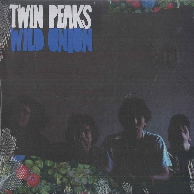 LP-Schallplatte Wild Onion von Grand Jury, US Rock, Blau/Mehrfarbig - Bild 1