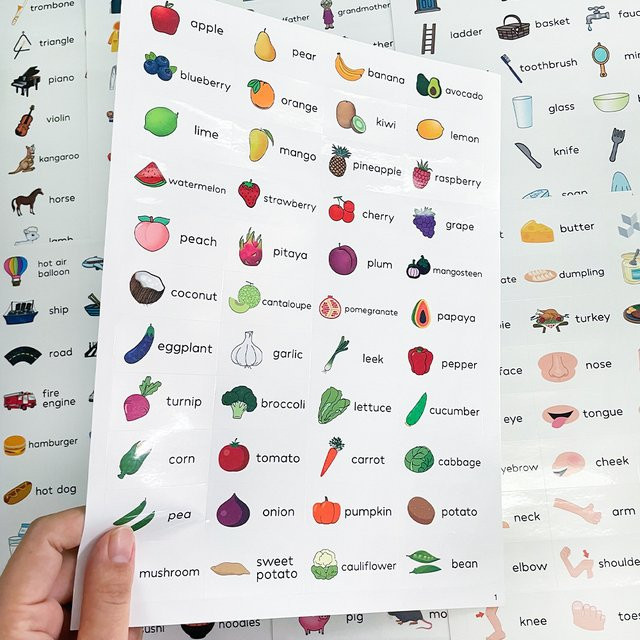 352 Englische Wortaufkleber für die frühkindliche Bildung mit täglichen Sätzen, Obst und Tieren in Mehrfarbig - Bild 1