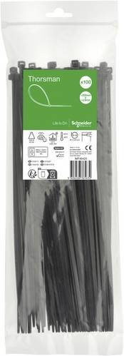 Schneider Electric IMT46420 Kabelbinder aus Nylon in Schwarz, 100 Stück - Bild 1