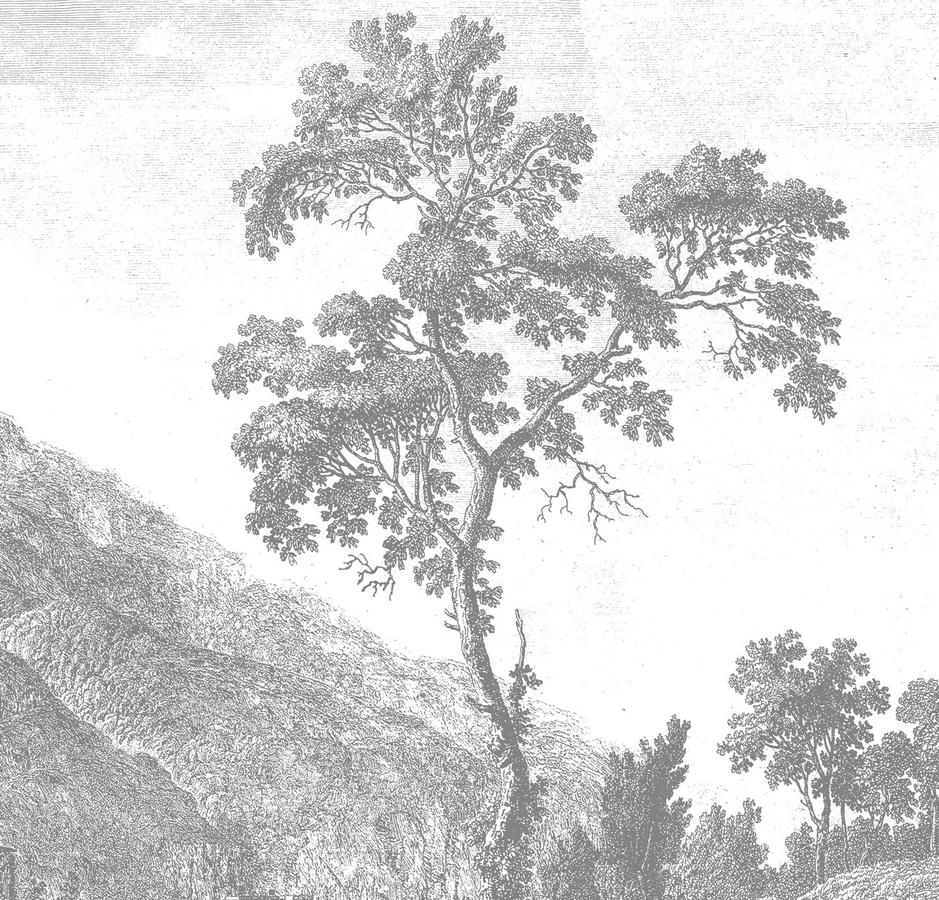 KEK Amsterdam Mural Engraved Landscapes 1 Wandbild in Schwarz Weiß Grau, Breite: 2.92 m - Bild 1