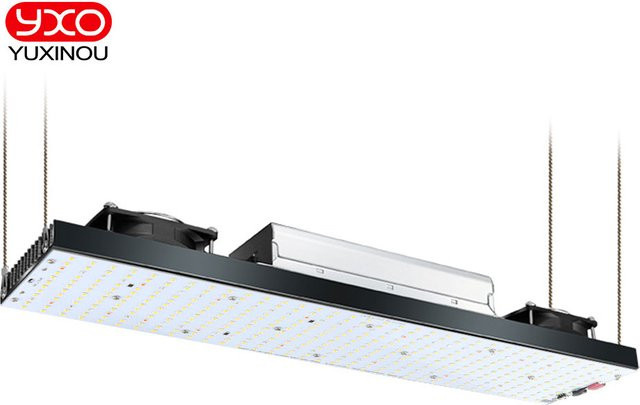 YXO YUXINOU LED-Pflanzenlampe mit Samsung LM301H für Hydroponik, Growbox und Gewächshaus zur Unterstützung von Wachstum und Blüte - Bild 1