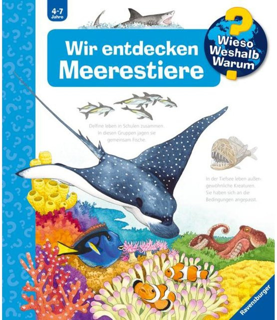 Wieso? Weshalb? Warum? Band 27: Wir entdecken Meerestiere - Bild 1