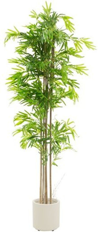 ML-Design Künstlicher Bambus mit Echtholzstamm in Grün und Braun, Höhe: 210 cm - Bild 1