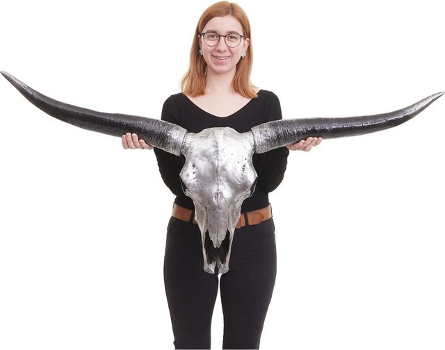 MCW Deko Schädel Stier Longhorn Kopf aus Polyresin in Silberfarben, Höhe: 132 cm - Bild 1