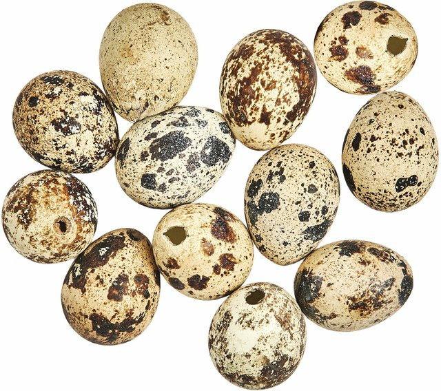 Rico Design Wachteleier natur für Frühlings- und Osterdekorationen, 12 Stück - Bild 1