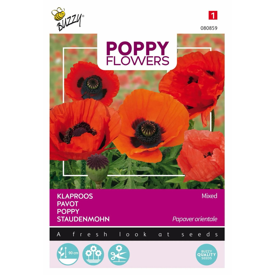 Arborix Orientalischer Mohn Buzzy Poppy Samen für bunte Blüten, 0,15 g - Bild 2